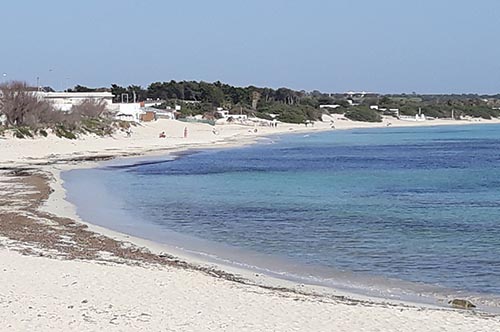 Casa delle Culture Casa delle Culture